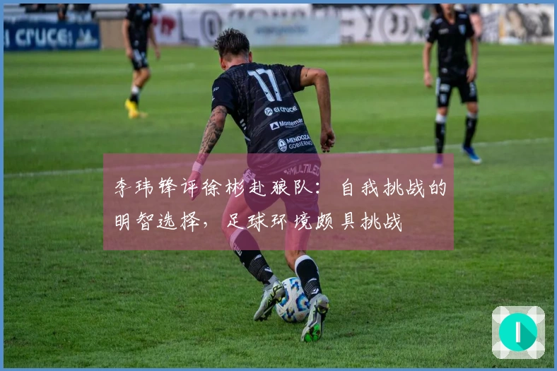 李玮锋评徐彬赴狼队：自我挑战的明智选择，足球环境颇具挑战