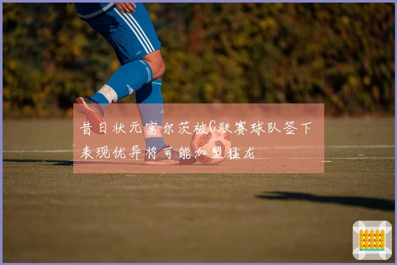 昔日状元富尔茨被G联赛球队签下 表现优异将可能加盟猛龙