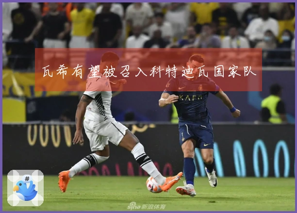 瓦希有望被召入科特迪瓦国家队